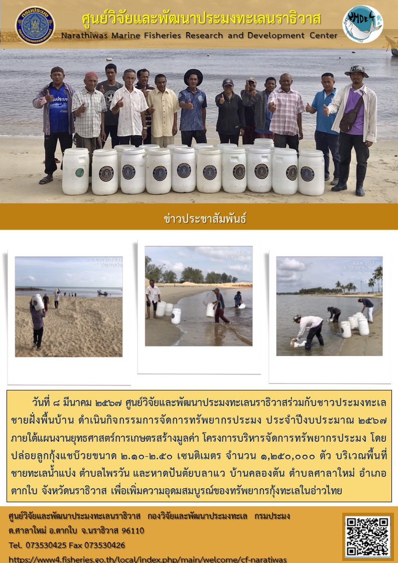 วันที่ 8 มีนาคม 2567 ศูนย์วิจัยและพัฒนาประมงทะเลนราธิวาสร่วมกับชาวประมงทะเลชายฝั่งพื้นบ้าน ดำเนินกิจกรรมการจัดการทรัพยากรประมง ประจำปีงบประมาณ 2567 ภานใต้แผนงานยุทธศาสตร์การเกษตรสร้างมูลค่า โครงการบริหารจัดการทรัพยากรประมง โดยปล่อยลูกกุ้งแชบ๊วยขนา 2.10-2.50 เซนติเมาตร จำนวน 1,250,000 ตัว บริเวณพื้นที่ชายทะเลน้ำแบ่ง ฯลฯ..คลิก