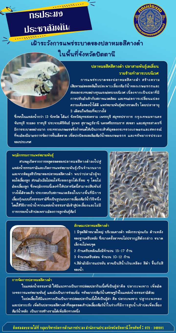 ประชาสัมพันธ์การเฝ้าระวังการแพร่ระบาดของปลาหมอสีคางดำในพื้นที่จังหวัดปัตตานี..คลิก