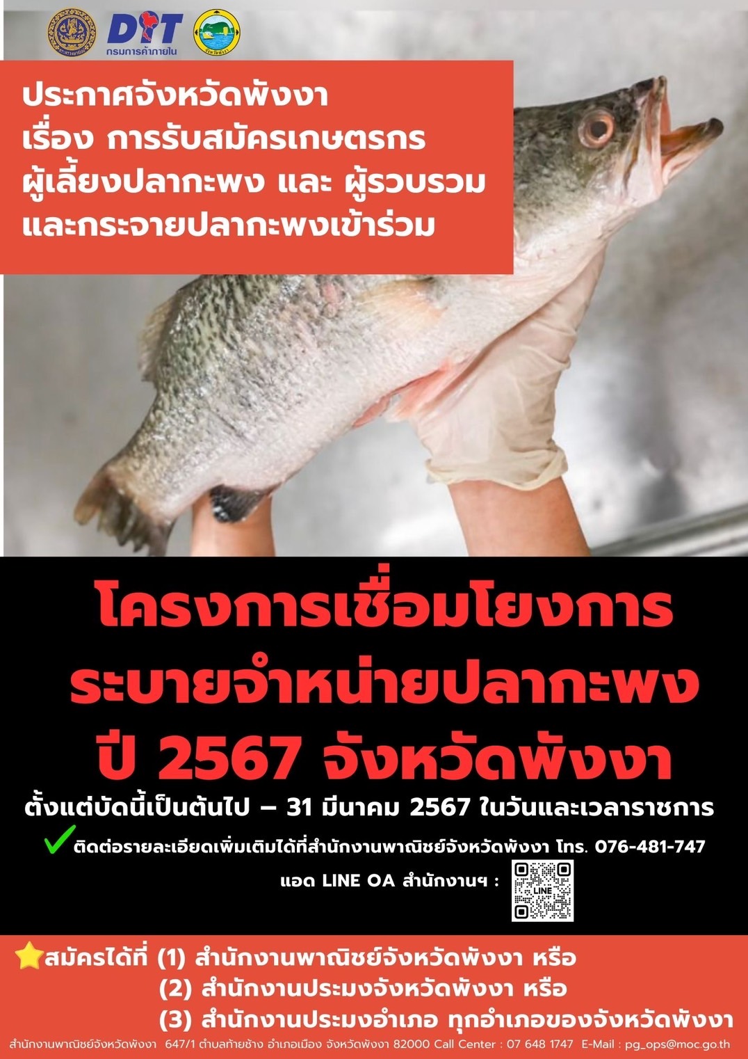 โครงการเชื่อมโยงการระบายจำหน่าย ปลากะพง ปี 2567 จังหวัดพังงา