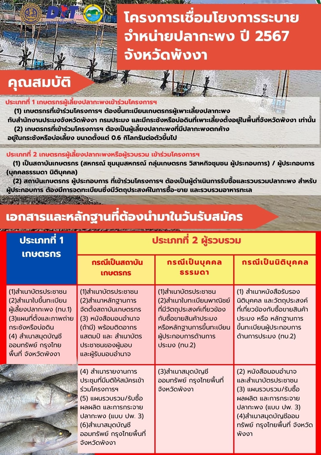 โครงการเชื่อมโยงการระบายจำหน่าย ปลากะพง ปี 2567 จังหวัดพังงา