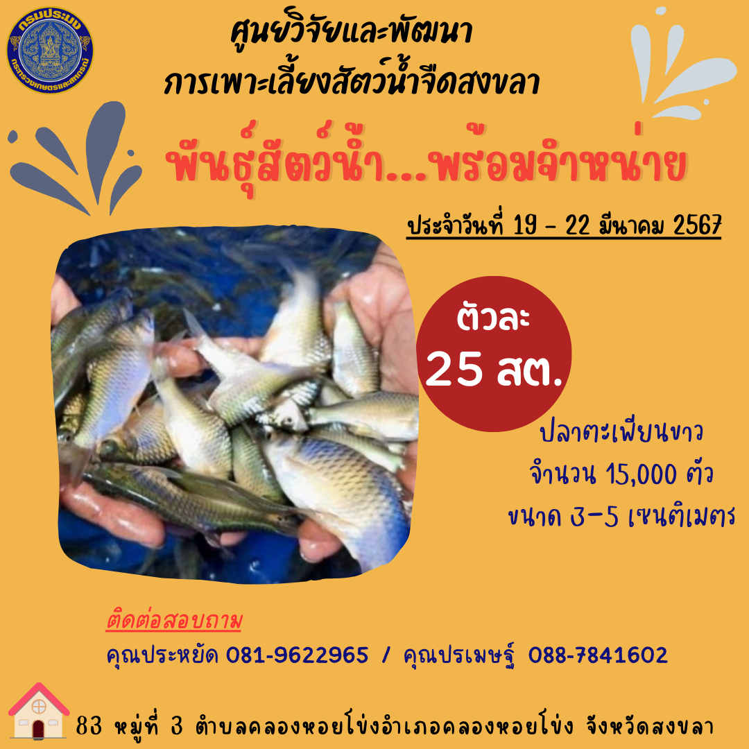 พันธุ์สัตว์น้ำพร้อมจำหน่าย