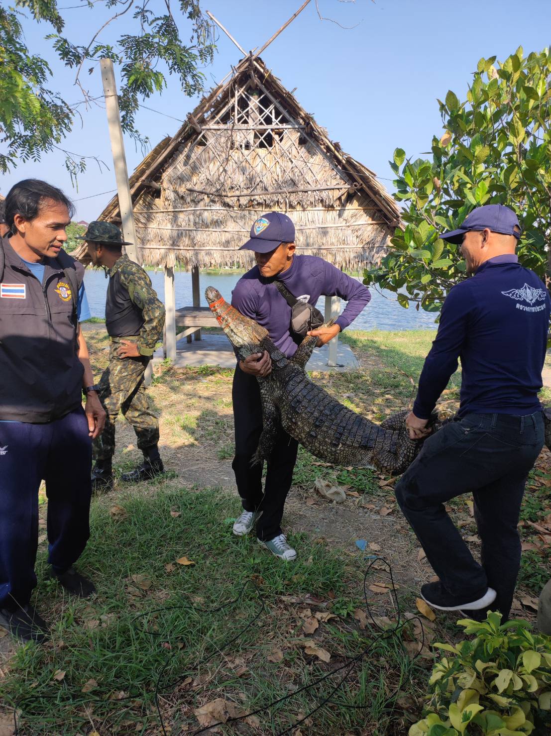 ร่วมกับประมงจังหวัดสมุทรสาคร สำนักงานทรัพยากรทางทะเลและชายฝั่งที่ 8 องค์การบริหารส่วนตำบลบางน้ำจืด เจ้าหน้าที่ฟาร์ม จับจระเข้ที่หลุดจากฟาร์ม..คลิก