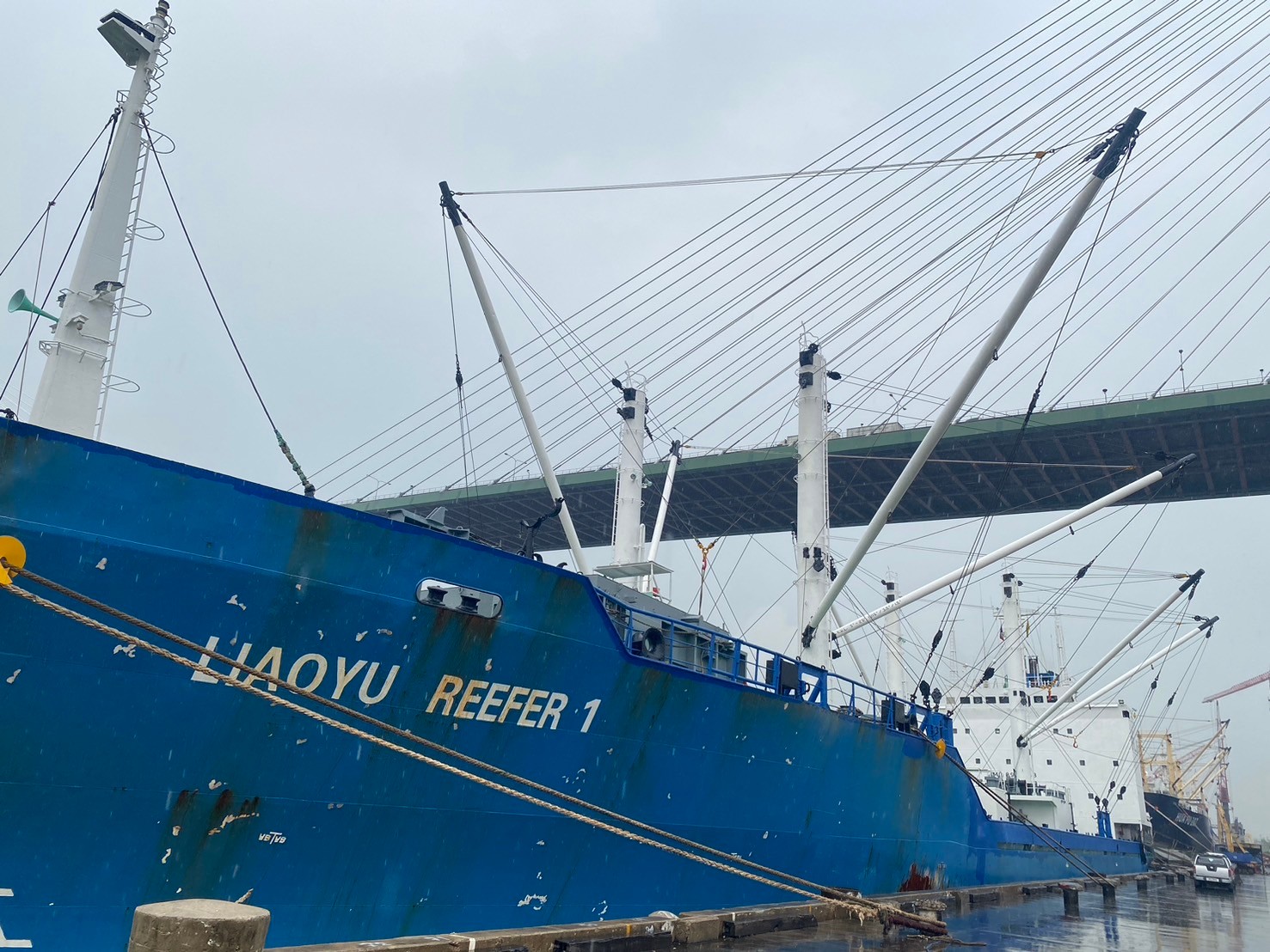 ตรวจสอบเรือตามมาตรการรัฐเจ้าของท่า : LIAOYU REEFER 1..คลิก
