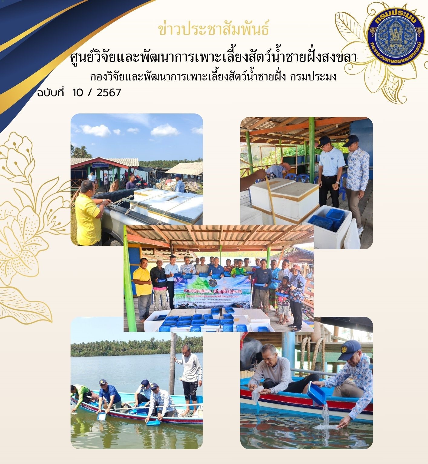 เมื่อวันที่ 15 มีนาคม 2567 นางสาวปริศนา คลิ้งสุขคล้าย ผู้อำนวยการศูนย์วิจัยและพัฒนาการเพาะเลี้ยงสัตว์น้ำชายฝั่งสงขลา มอบหมายให้นายอุกฤษฏ์ ชูสุวรรณ นักวิชาการประมงปฏิบัติการ ส่งมอบพันธุ์ปูทะเล ขนาด 0.3-0.5 เซนติเมตร จำนวน 130,000 ตัว ให้แก่สำนักงานประมงจังหวัดปัตตานี..คลิก