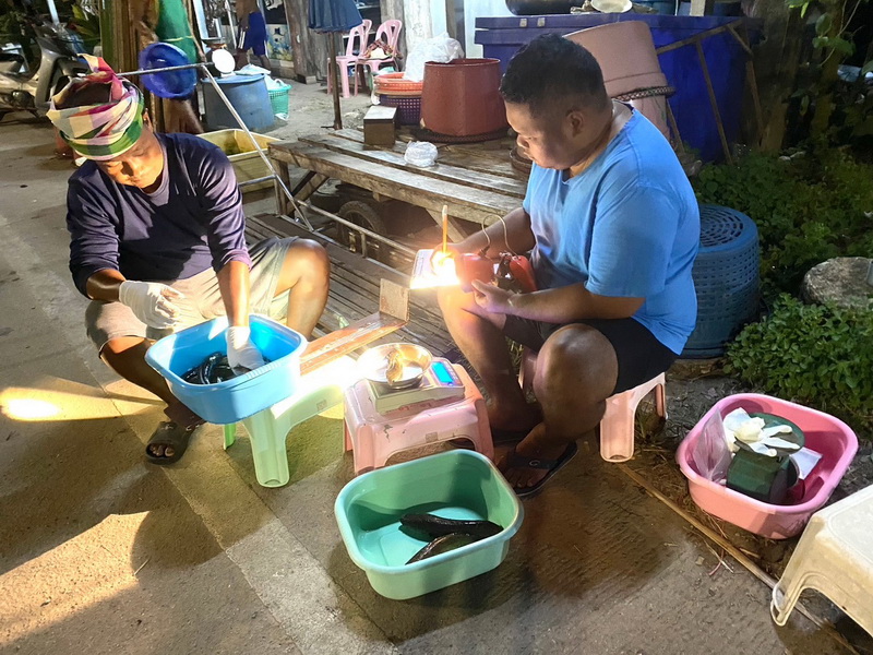 ดำเนินการประเมินสภาวะทรัพยากรสัตว์น้ำ ในพื้นที่ทะเลน้อยจังหวัดพัทลุง