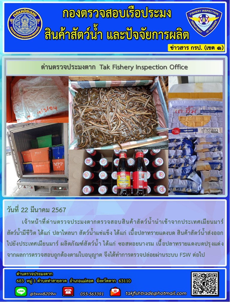 วันที่ 22 มีนาคม 2567           เจ้าหน้าที่ด่านตรวจประมงตากตรวจสอบสินค้าสัตว์น้ำนำเข้าจากประเทศเมียนมาร์ สัตว์น้ำมีชีวิต ได้แก่ ปลาไหลนา สัตว์น้ำแช่แข็ง ได้แก่ เนื้อปลาทรายแดงบด สินค้าสัตว์น้ำส่งออกไปยังประเทศเมียนมาร์ ผลิตภัณฑ์สัตว์น้ำ ได้แก่ ซอสหอยนางรม เนื้อปลาทรายแดงบดปรุงแต่ง จากผลการตรวจสอบถูกต้องตามใบอนุญาต จึงได้ทำการตรวจปล่อยผ่านระบบ FSW ต่อไป..คลิก