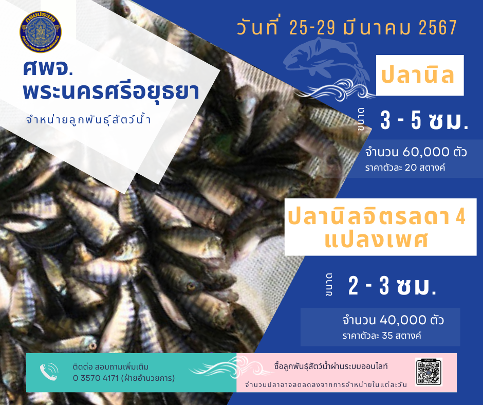 ชนิดพันธุ์สัตว์น้ำพร้อมจำหน่าย  25-29 มีนาคม 2567 ศพจ.พระนครศรีอยุธยา..คลิก