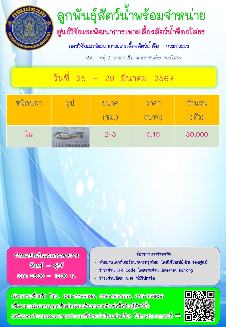 ลูกพันธุ์สัตว์น้ำพร้อมจำหน่าย 25 - 29 มี.ค. 2567..คลิก