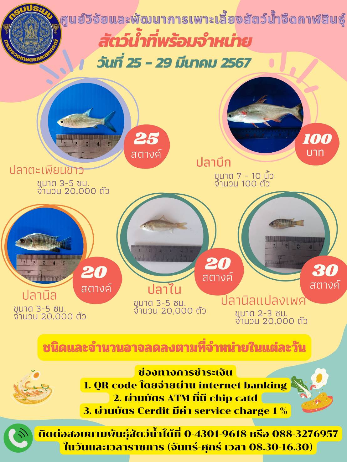 ข่าวประชาสัมพันธ์