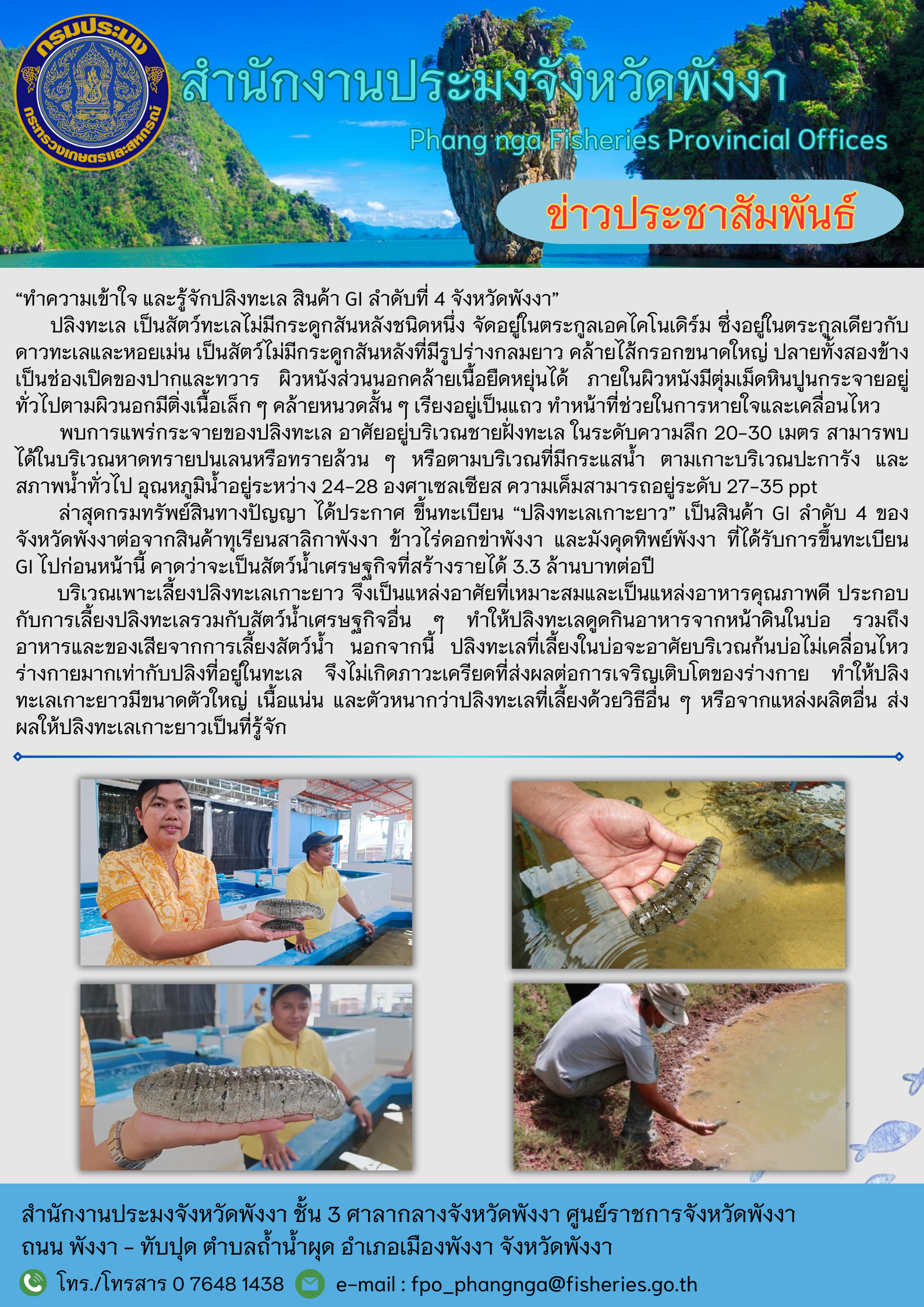ทำความเข้าใจ และรู้จักปลิงทะเล สินค้า GI ลำดับที่ 4 จังหวัดพังงา..คลิก