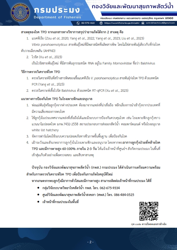 โรคตัวใสในกุ้ง หรือ TPD