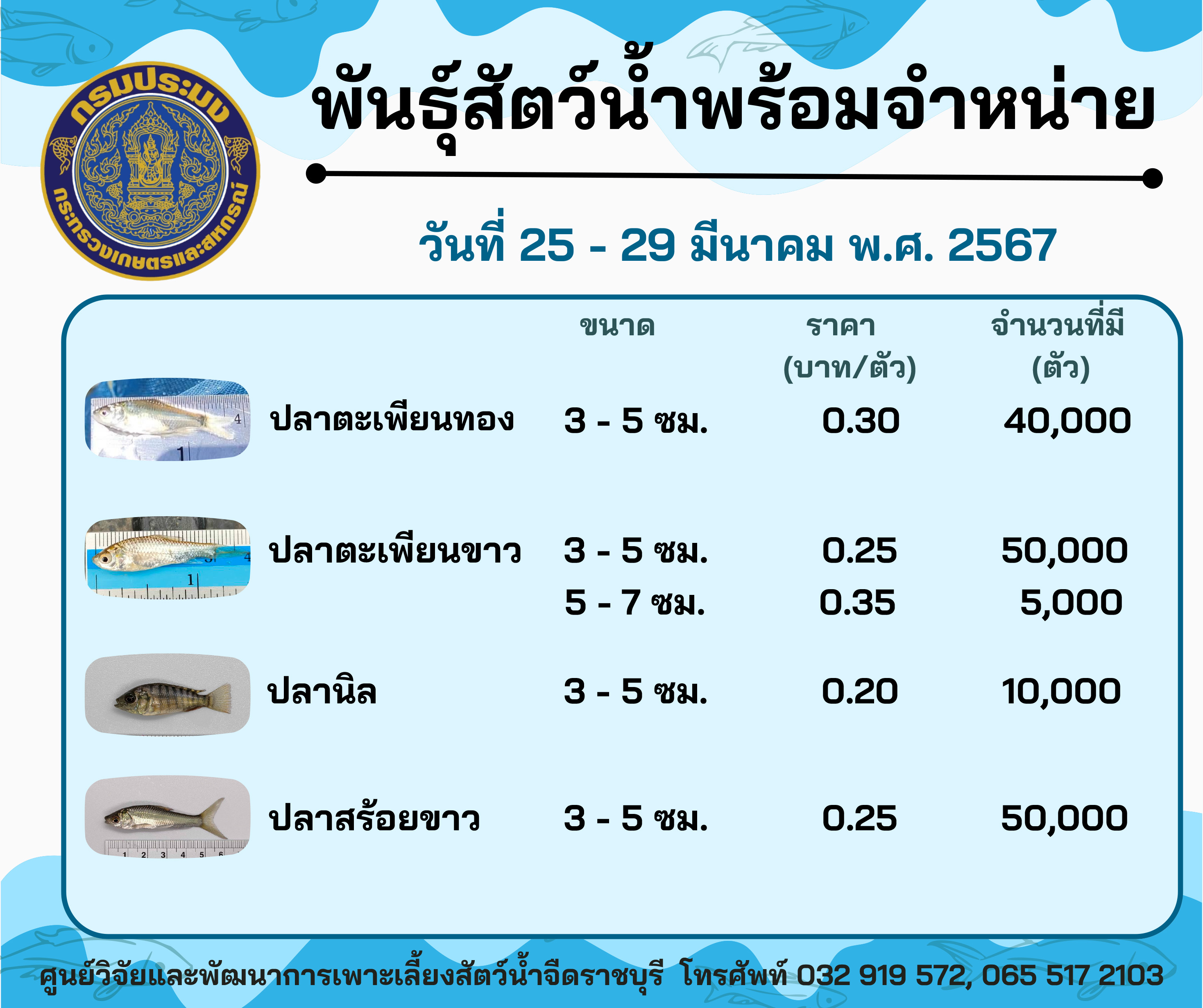 ลูกพันธุ์ปลาพร้อมจำหน่ายสัปดาห์นี้ วันที่ 25 - 29 มีนาคม พ.ศ. 2567..คลิก