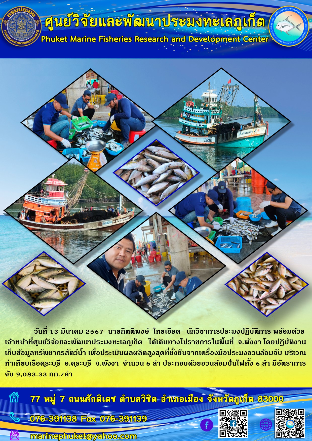วันที่ 13 มีนาคม 2567 นายกิตติพงษ์ ไทยเอียด นักวิชาการประมงปฏิบัติการ พร้อมด้วยเจ้าหน้าที่ศูนย์วิจัยและพัฒนาประมงทะเลภูเก็ต ได้เดินทางไปราชการในพื้นที่ จ.พังงา โดยปฏิบัติงานเก็บข้อมูลทรัพยากรสัตว์น้ำ เพื่อประเมินผลผลิตสูงสุดที่ยั่งยืนจากเครื่องมือประมงอวนล้อมจับ บริเวณท่าเทียบเรือคุระบุรี อ.คุระบุรี จ.พังงา จำนวน 6 ลำ ประกอบด้วยอวนล้อมปั่นไฟทั้ง 6 ลำ มีอัตราการจับ 9,083.33 กก./ลำ ฯลฯ..คลิก