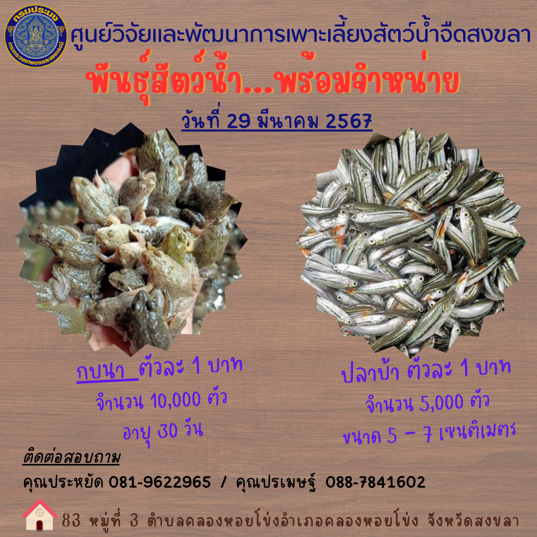 ข่าวประชาสัมพันธ์