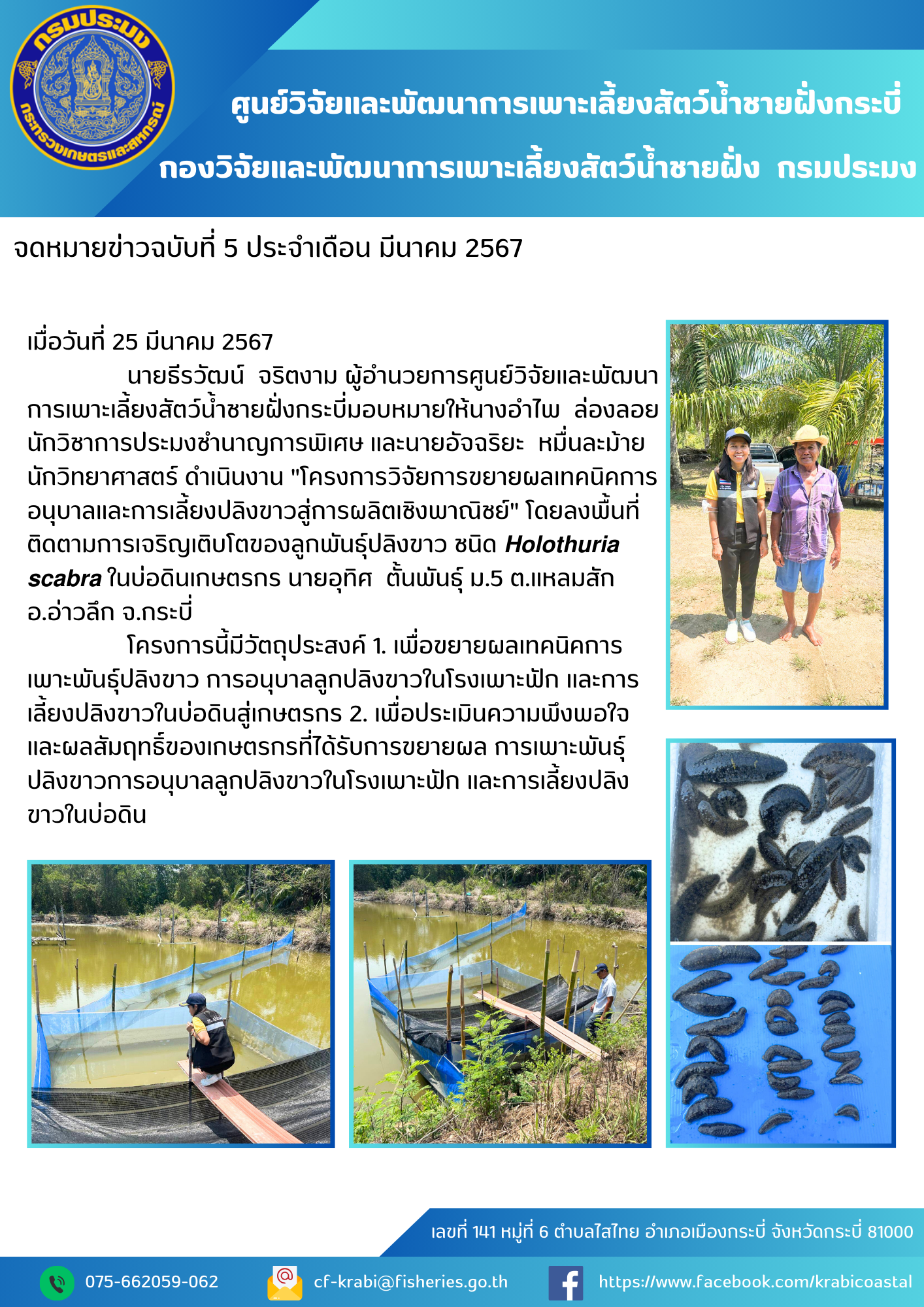 ดำเนินงานลงพื้นที่ติดตามการเจริญเติบโตของลูกพันธุ์ปลิงขาว..คลิก