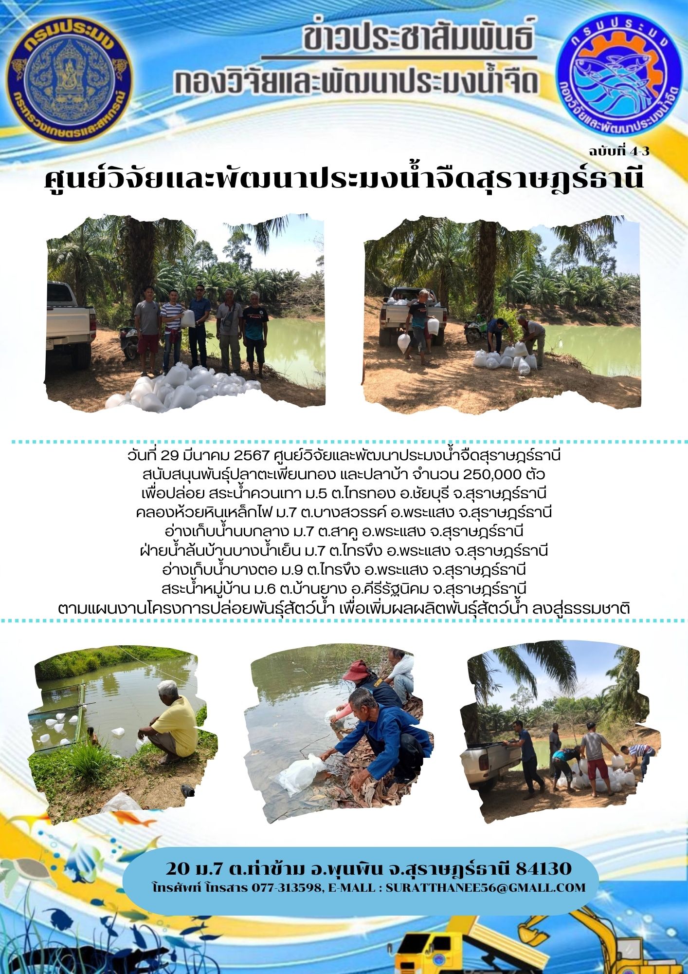 วันที่ 29 มีนาคม 2567 ศูนย์วิจัยและพัฒนาประมงน้ำจืดสุราษฎร์ธานี  สนับสนุนพันธุ์ปลาตะเพียนทอง และปลาบ้า จำนวน 250,000 ตัว