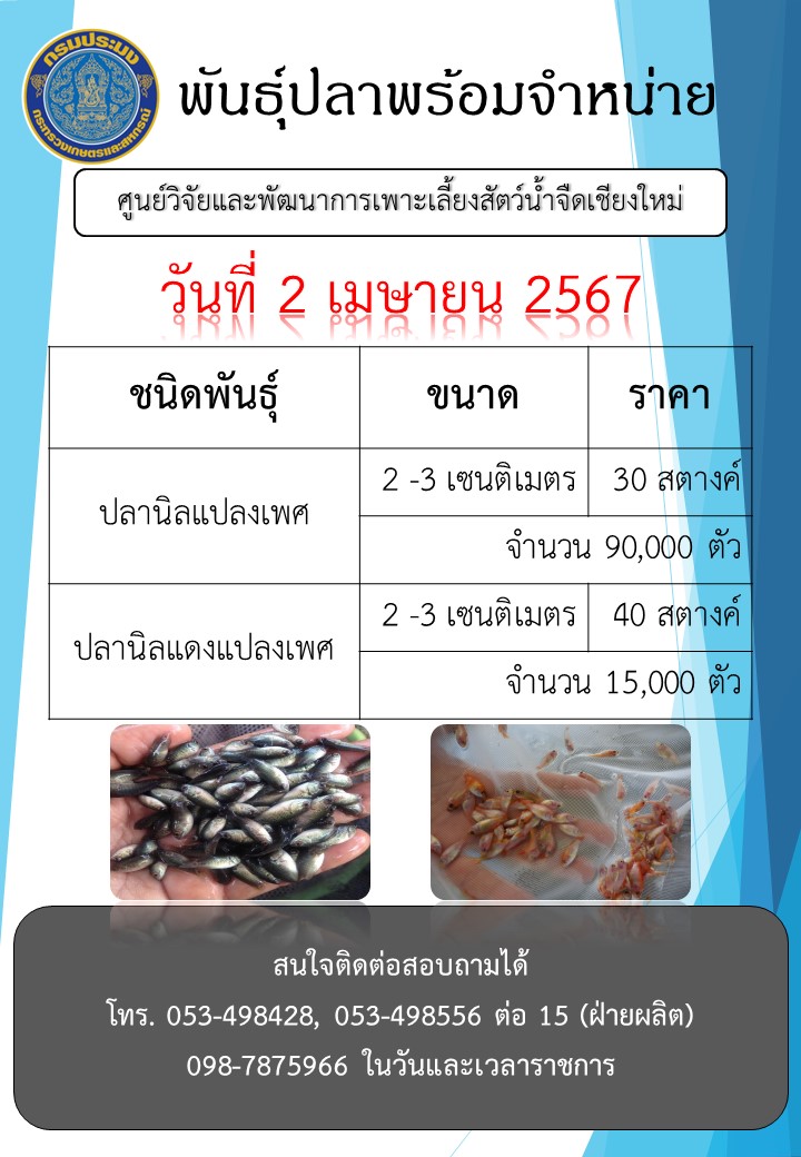 พันธุ์ปลาพร้อมจำหน่าย วันที่ 2 เมษายน 2567