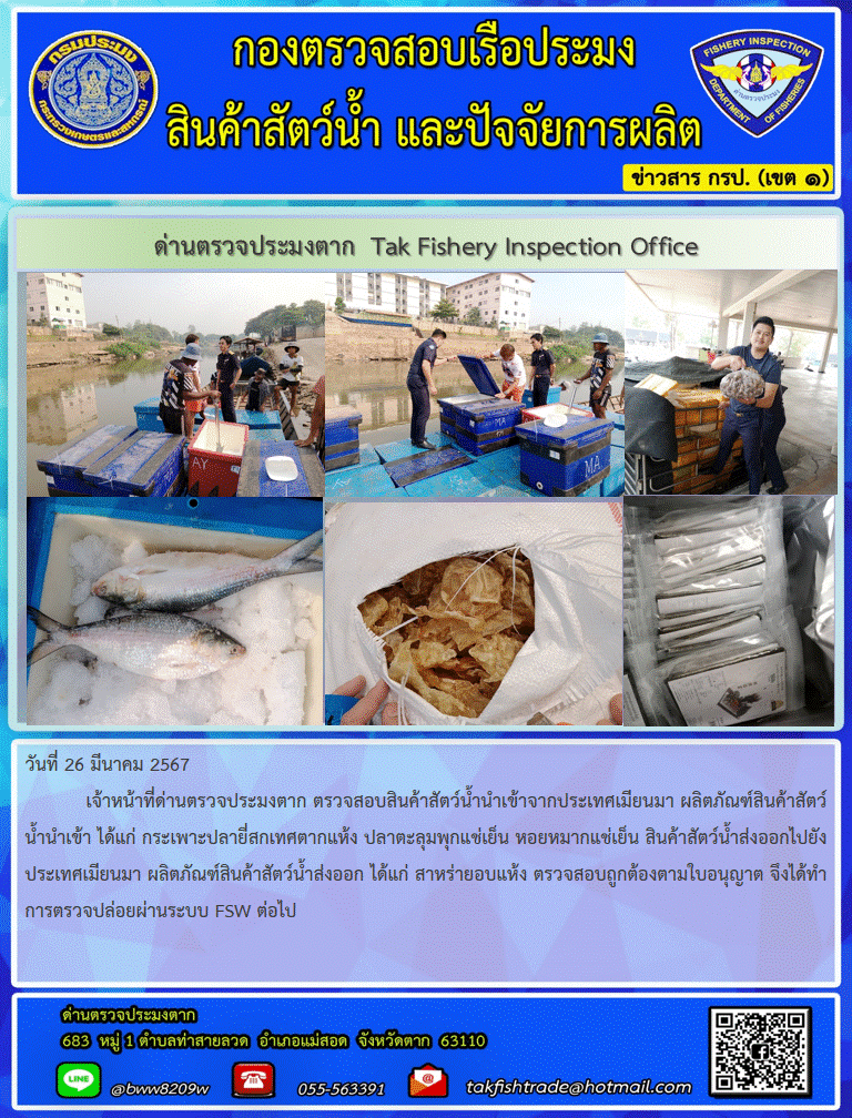 วันที่ 26 มีนาคม 2567           เจ้าหน้าที่ด่านตรวจประมงตาก ตรวจสอบสินค้าสัตว์น้ำนำเข้าจากประเทศเมียนมา ผลิตภัณฑ์สินค้าสัตว์น้ำนำเข้า ได้แก่ กระเพาะปลายี่สกเทศตากแห้ง ปลาตะลุมพุกแช่เย็น หอยหมากแช่เย็น สินค้าสัตว์น้ำส่งออกไปยังประเทศเมียนมา ผลิตภัณฑ์สินค้าสัตว์น้ำส่งออก ได้แก่ สาหร่ายอบแห้ง ตรวจสอบถูกต้องตามใบอนุญาต จึงได้ทำการตรวจปล่อยผ่านระบบ FSW ต่อไป..คลิก