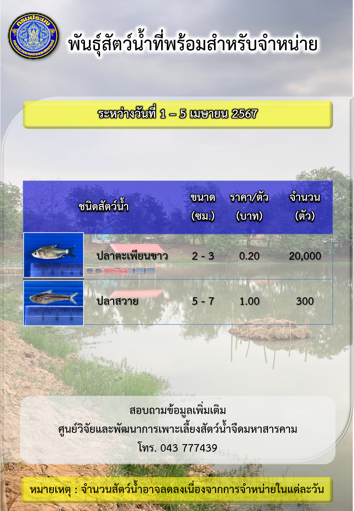 พันธุ์สัตว์น้ำที่พร้อมสำหรับจำหน่ายในช่วงระหว่างวันที่ 1 – 5 เมษายน 2567..คลิก