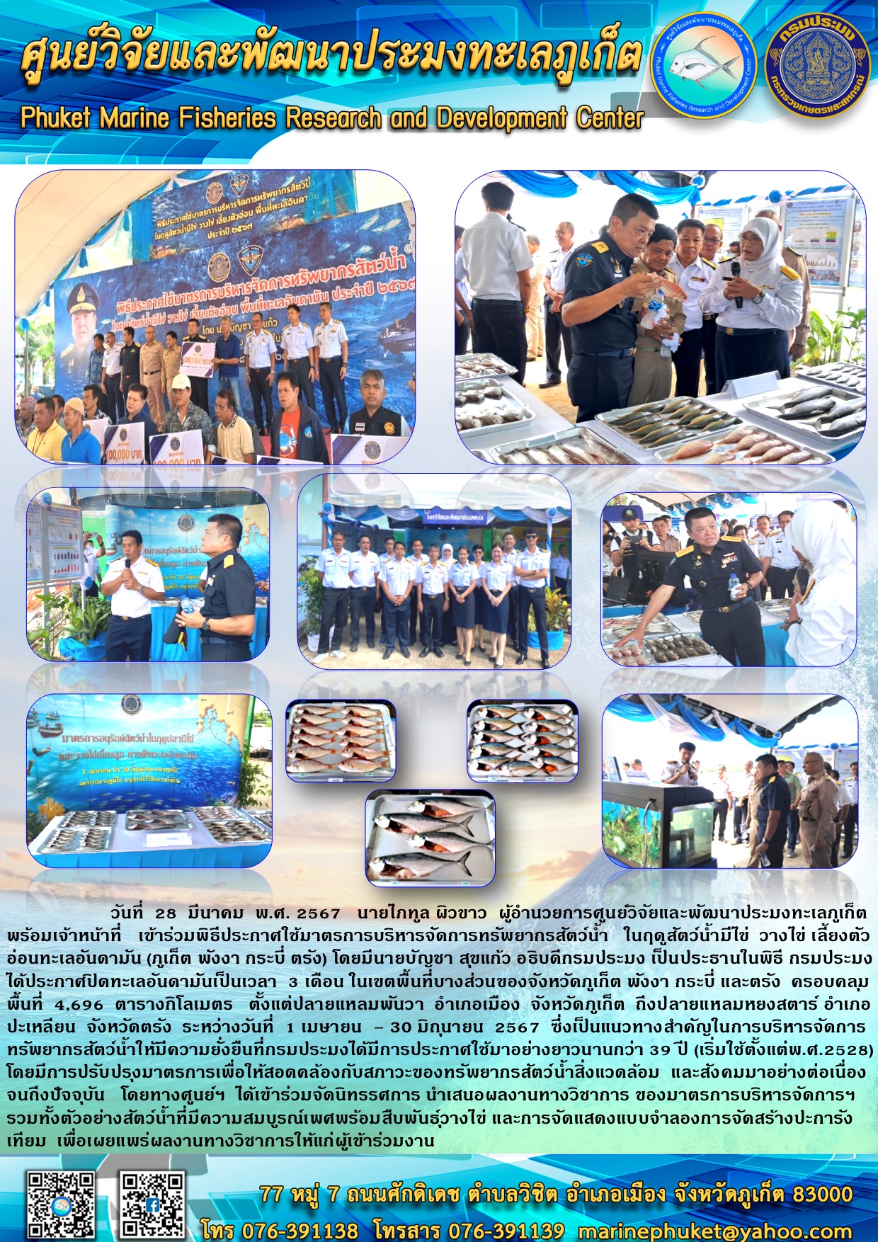วันที่ 28 มีนาคม พ.ศ. 2567 นายไภฑูล ผิวขาว ผู้อำนวยการศูนย์วิจัยและพัฒนาประมงทะเลภูเก็ต พร้อมเจ้าหน้าที่ เข้าร่วมพิธีประกาศใช้มาตรการบริหารจัดการทรัพยากรสัตว์น้ำ ในฤดูสัตว์น้ำมีไข่ วางไข่ เลี้ยงตัวอ่อนทะเลอันดามัน (ภูเก็ต พังงา กระบี่ ตรัง) โดยมีนายบัญชา สุขแก้ว อธิบดีกรมประมง เป็นประธานในพิธี กรมประมงได้ประกาศปิดทะเลอันดามันเป็นเวลา 3 เดือน ในเขตพื้นที่บางส่วนของจังหวัดภูเก็ต พังงา กระบี่ และตรัง ฯลฯ..คลิก