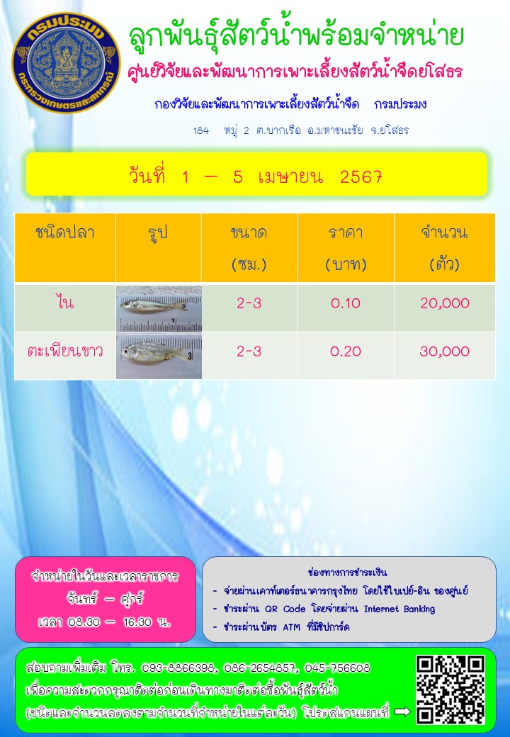 ลูกพันธุ์สัตว์น้ำพร้อมจำหน่าย 1 - 5 เม.ย. 2567..คลิก