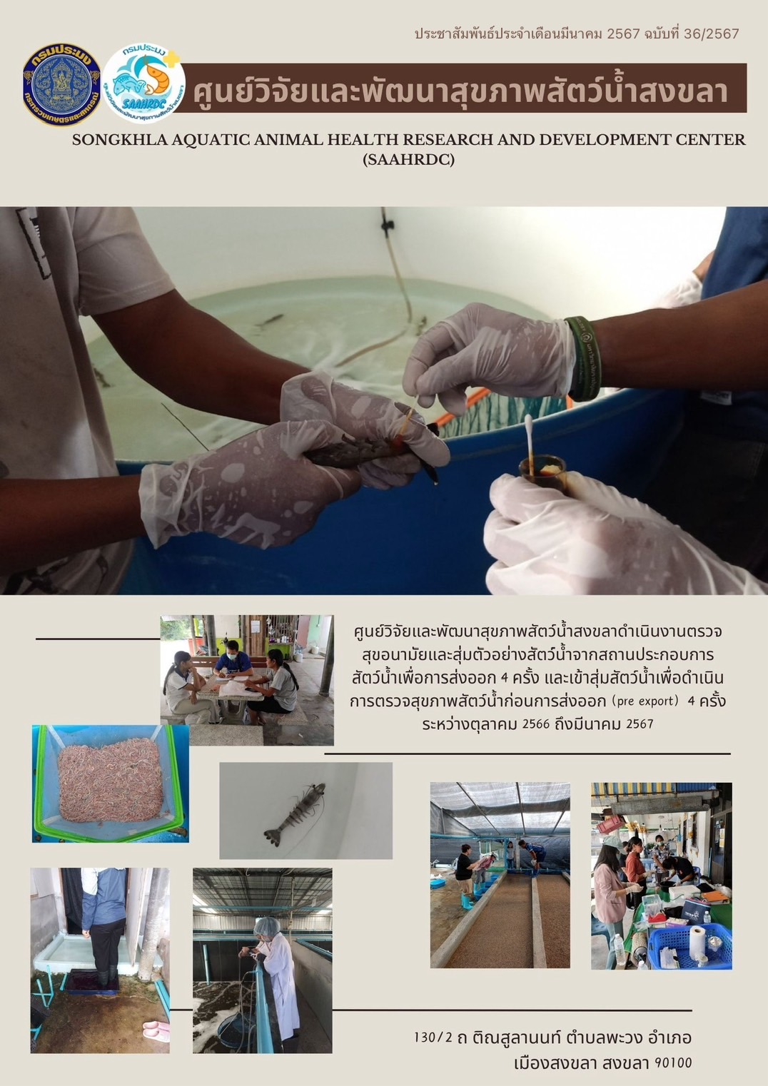 ฉบับที่ 36/67 ศูนย์วิจัยและพัฒนาสุขภาพสัตว์น้ำสงขลาดำเนินงานตรวจ สุขอนามัยและสุ่มตัวอย่างสัตว์น้ำจากสถานประกอบการ สัตว์น้ำเพื่อการส่งออก..คลิก