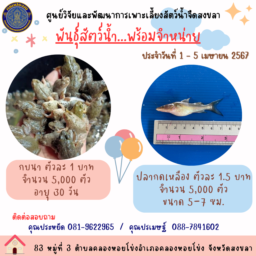 พันธุ์สัตว์น้ำพร้อมจำหน่าย