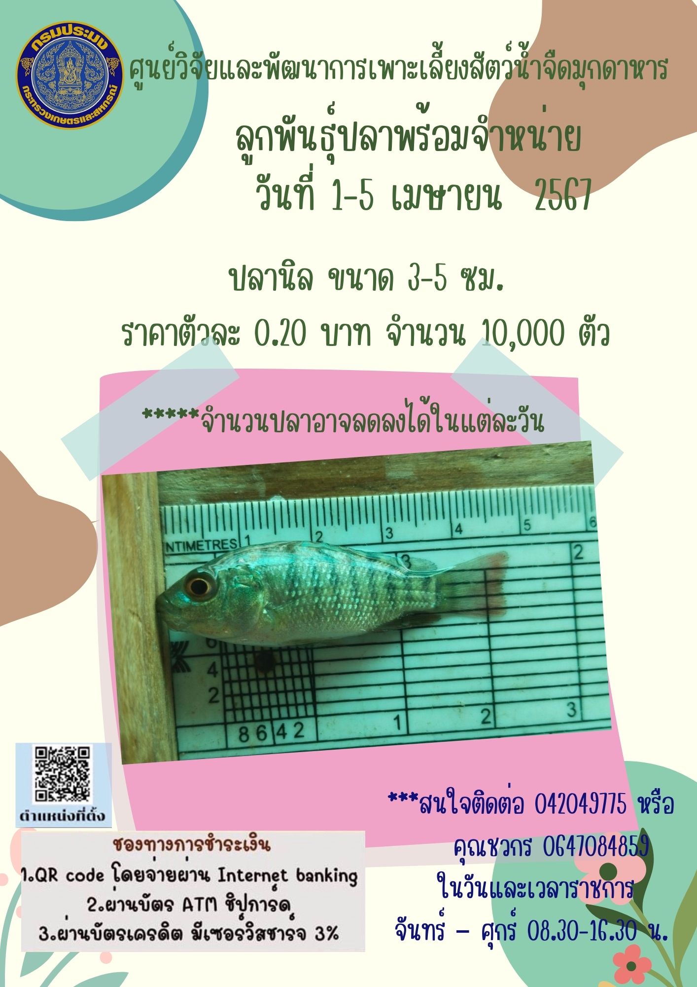 ลูกพันธุ์สัตว์น้ำพร้อมจำหน่าย 1-5 เมษายน 2567..คลิก