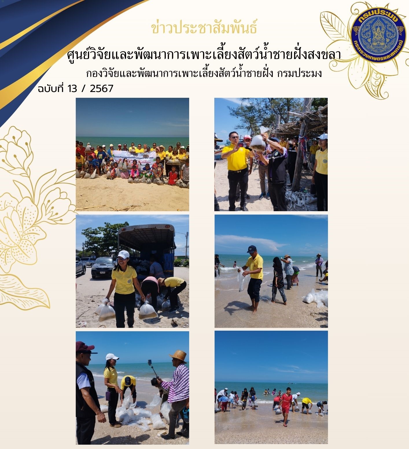 วันที่ 1 เมษายน 2567 นางสาวปริศนา คลิ้งสุขคล้าย ผู้อำนวยการศูนย์วิจัยและพัฒนาการเพาะเลี้ยงสัตว์น้ำชายฝั่งสงขลา พร้อมด้วยนายชลิต สง่างาม นักวิชาการประมงชำนาญการ และนายอุกฤษฏ์ ชูสุวรรณ นักวิชาการประมงปฏิบัติการ ส่งมอบลูกพันธุ์ปูม้า ให้แก่องค์การบริหารส่วนจังหวัดสงขลา..คลิก