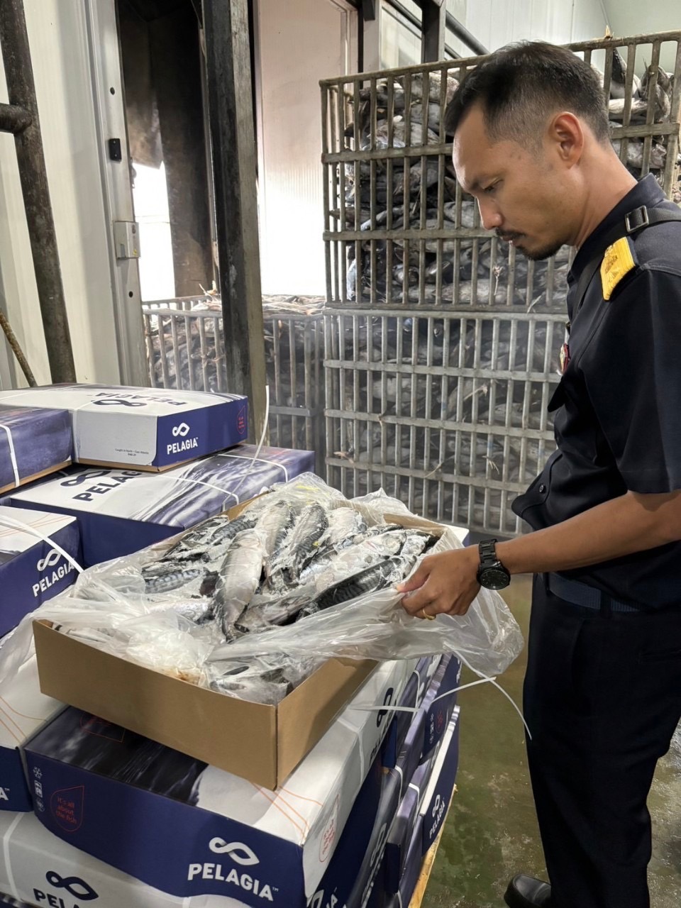   ศบป. 8 (สงขลา) พร้อมขับเคลื่อนภารกิจการตรวจสอบสินค้าประมง นำเข้าทางตู้คอนเทนเนอร์ ณ สถานที่จัดเก็บ หรือสถานประกอบการ หรือห้องเย็นปลายทาง..คลิก