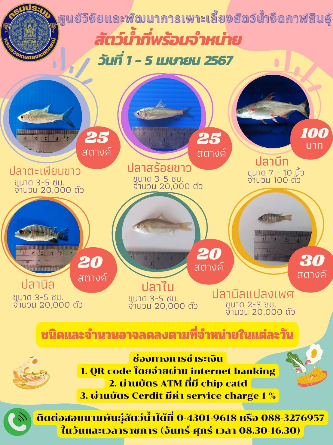พันธุ์สัตว์น้ำที่พร้อมจำหน่ายประจำสัปดาห์