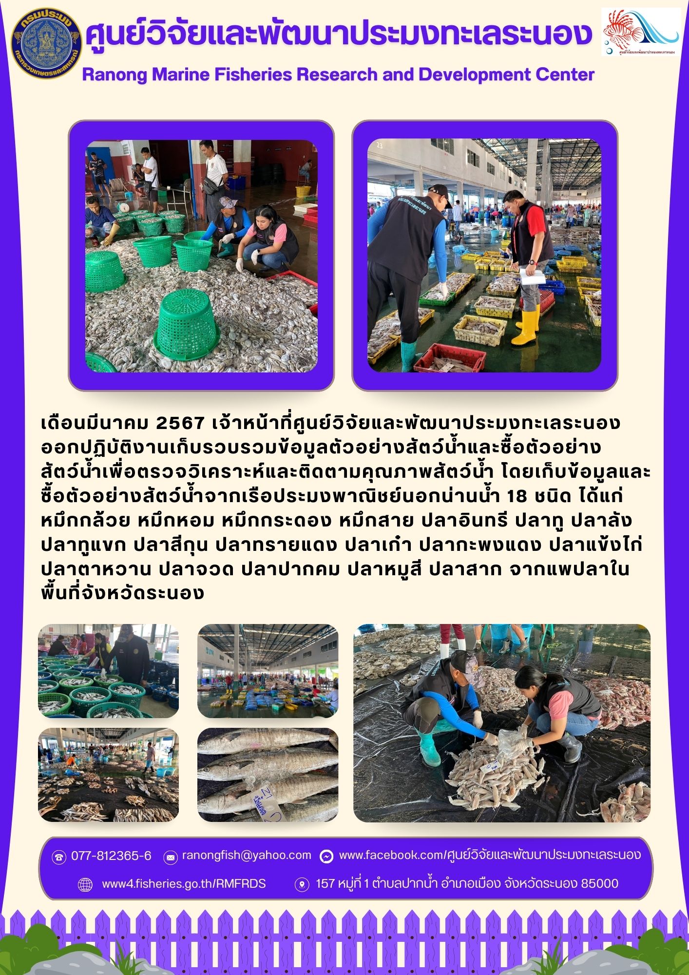 เจ้าหน้าที่ศูนย์วิจัยและพัฒนาประมงทะเลระนอง ออกปฏิบัติงานเก็บรวบรวมข้อมูลตัวอย่างสัตว์น้ำและซื้อตัวอย่างสัตว์น้ำเพื่อตรวจวิเคราะห์และติดตามคุณภาพสัตว์น้ำ..คลิก