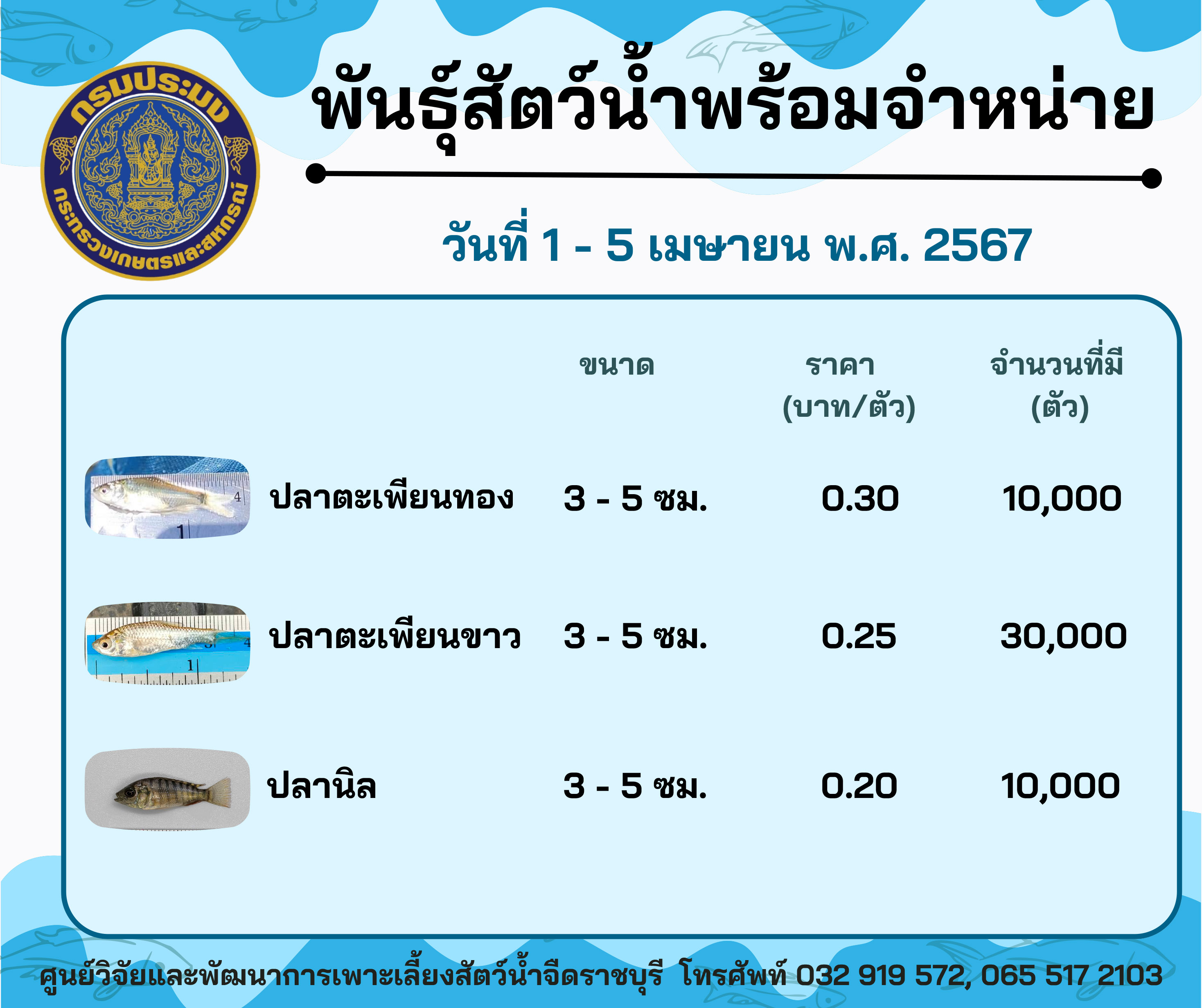 ลูกพันธุ์สัตว์น้ำพร้อมจำหน่ายสัปดาห์นี้ วันที่ 1 - 5 เมษายน พ.ศ. 2567..คลิก