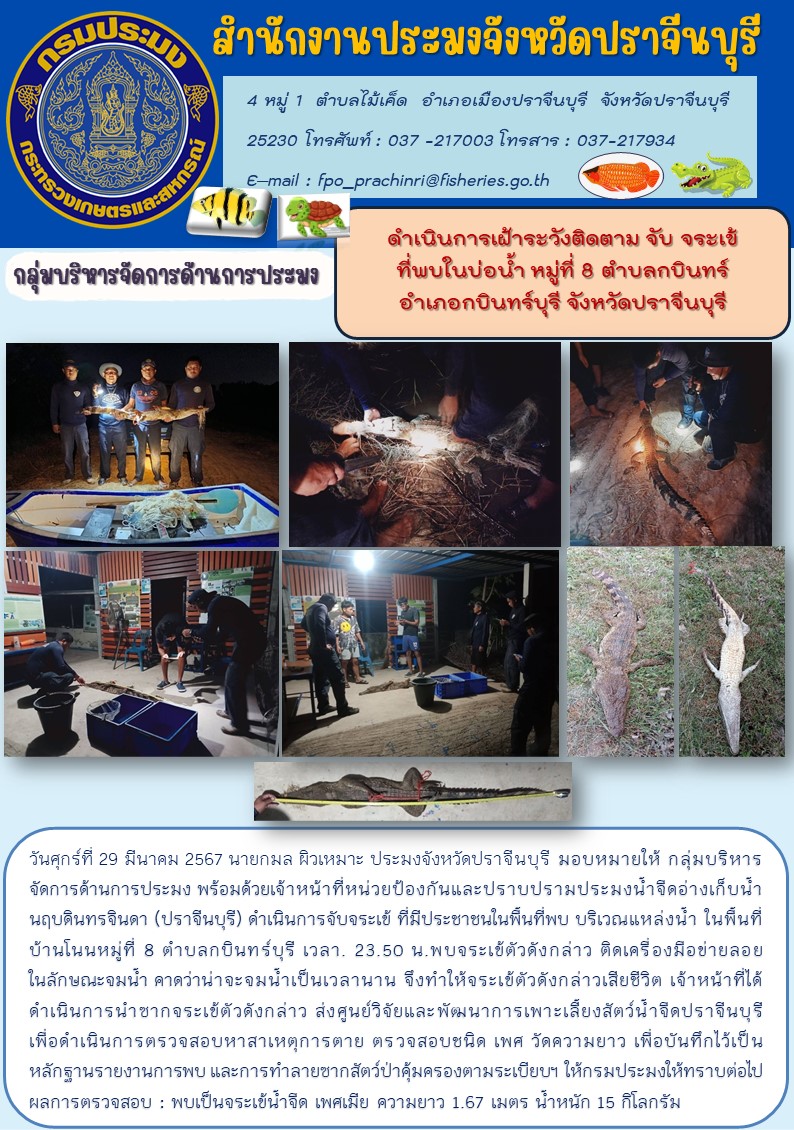 ข่าวประชาสัมพันธ์ กลุ่มบริหารจัดการด้านการประมง ดำเนิการเฝ้าระวังติดตามจับจระเข้ ทีพบในบ่อนำ้ หมู่ที่ 8 ตำบลกบินทร์บุรี จังหวัดปราจีนบุรี..คลิก