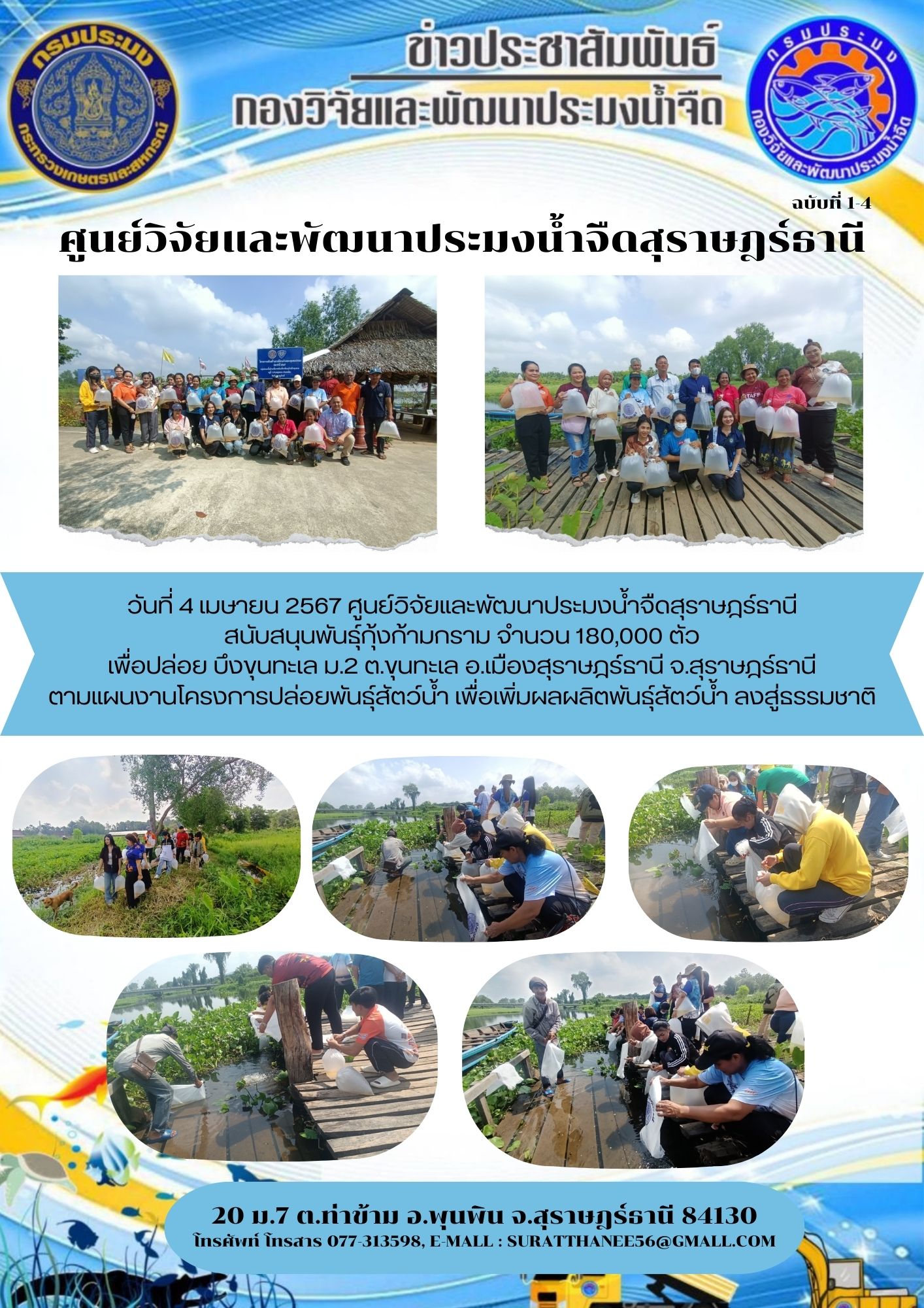 วันที่ 4 เมษายน 2567 ศูนย์วิจัยและพัฒนาประมงน้ำจืดสุราษฎร์ธานี  สนับสนุนพันธุ์กุ้งก้ามกราม จำนวน 180,000 ตัว
