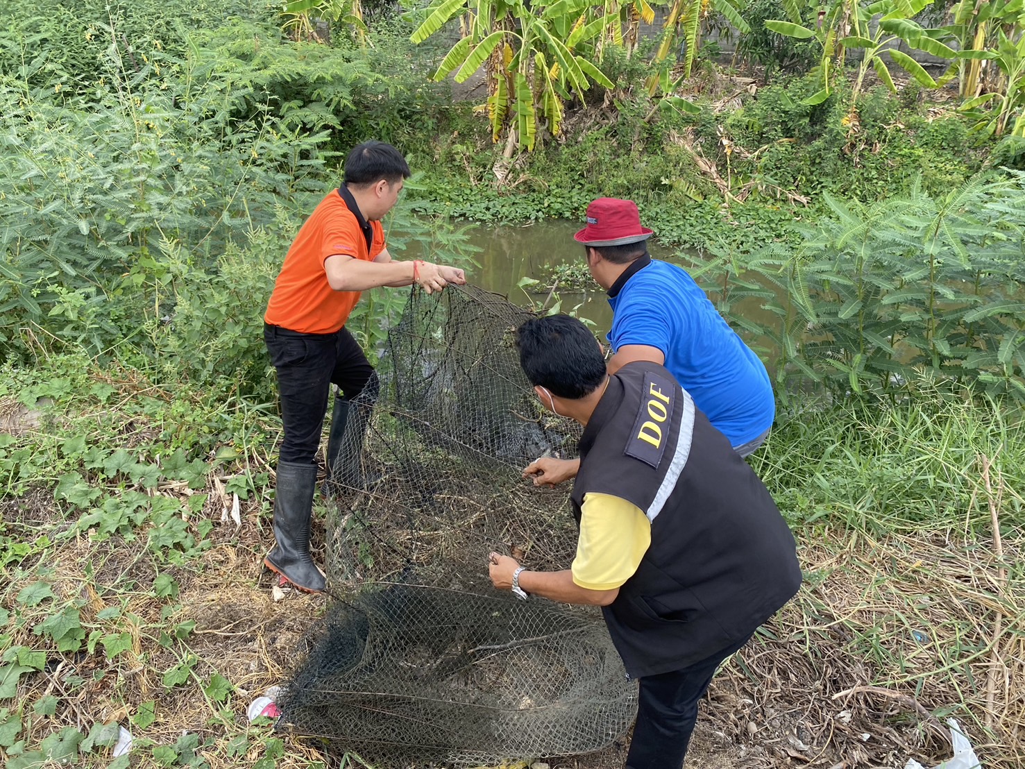 สำนักงานประมงพื้นที่กรุงเทพมหานคร ลงพื้นที่ติดตามการทำเครื่องมือผิดกฎหมายประเภทลอบพับ (ไอ้โง่)