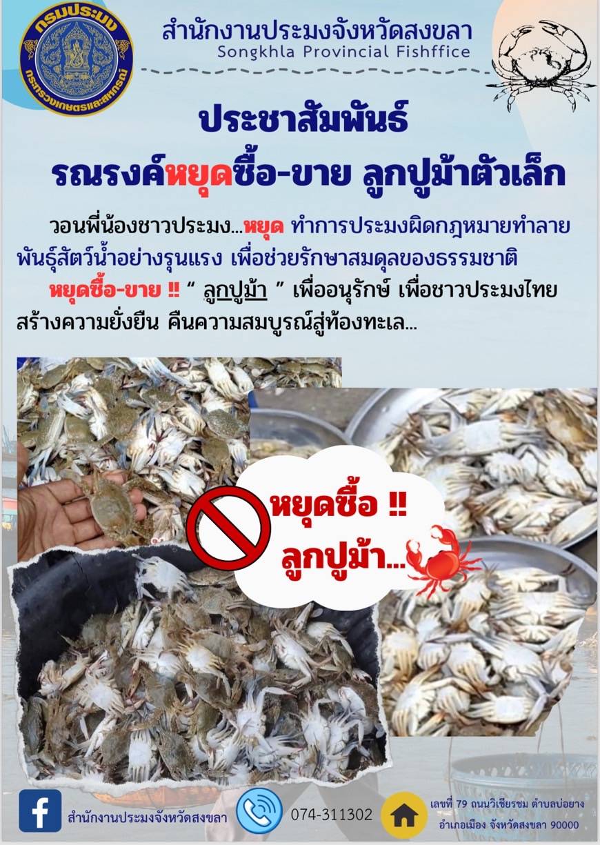 รณรงค์หยุดซื้อ - ขาย ลูกปูม้าตัวเล็ก..คลิก