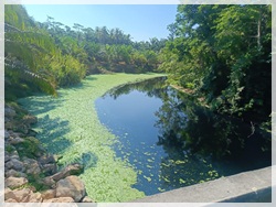ร่วมหารือและลงพื้นที่แก้ปัญหาน้ำเสียในพื้นที่ต.นาเมืองเพชร..คลิก