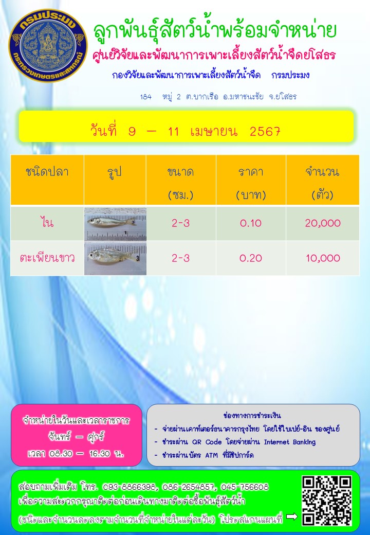 ลูกพันธุ์สัตว์น้ำพร้อมจำหน่าย 9 - 11 เม.ย. 2567..คลิก