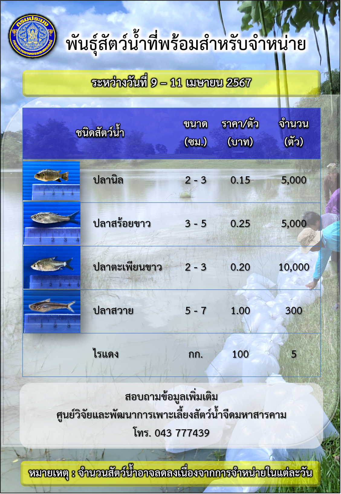 พันธุ์สัตว์น้ำที่พร้อมสำหรับจำหน่าย ในช่วงระหว่างวันที่ 9 - 11 เมษายน 2567..คลิก