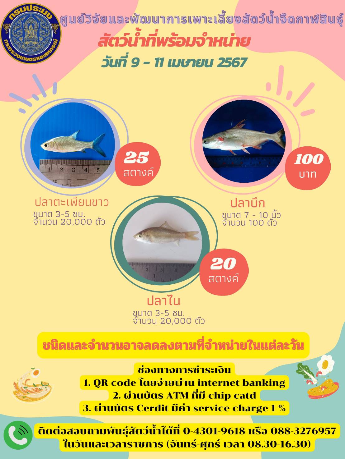 พันธุ์สัตว์น้ำที่พร้อมจำหน่ายประจำสัปดาห์