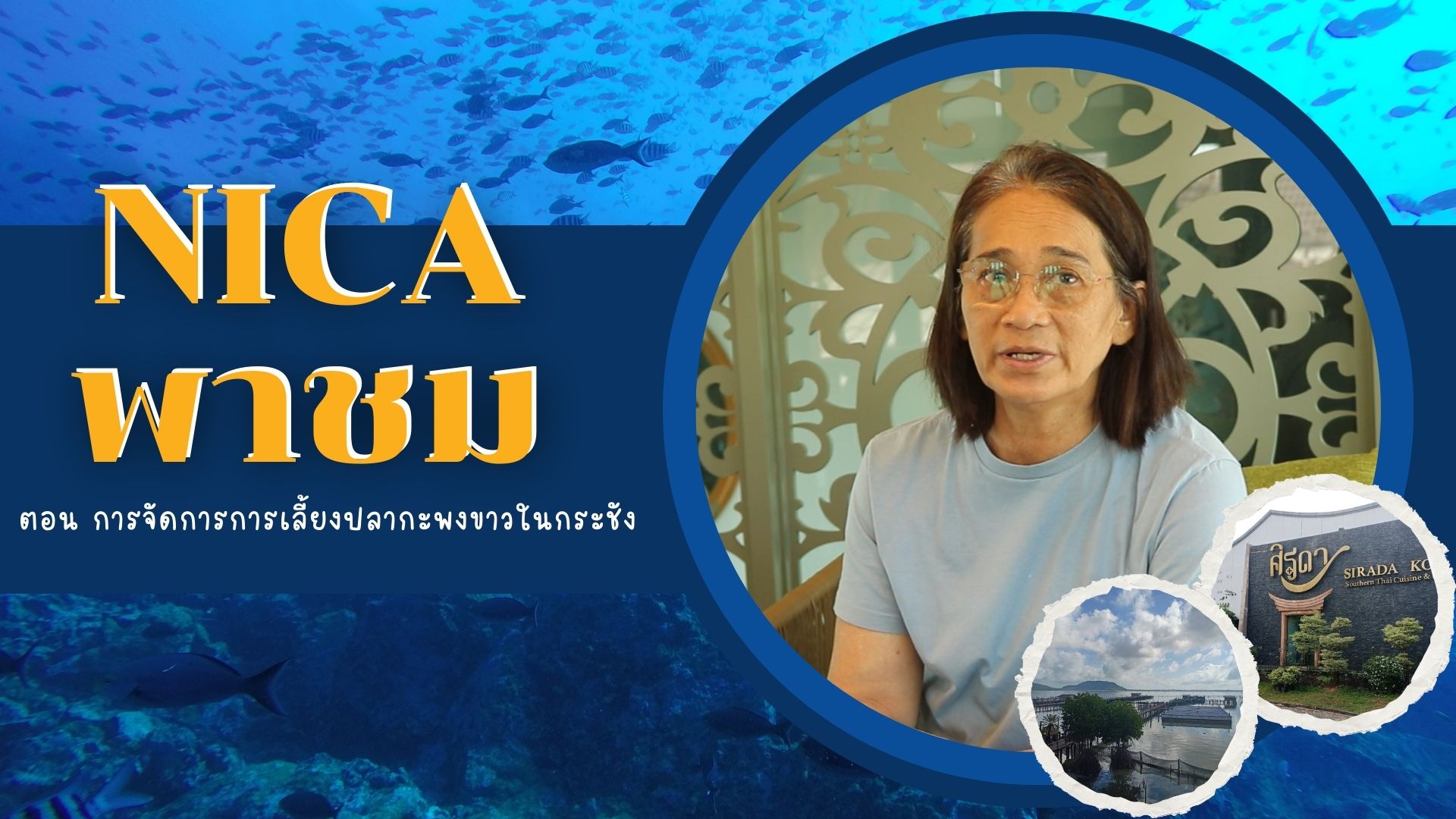 NICA พาชม ตอน การจัดการการเลี้ยงปลากะพงขาวในกระชัง..คลิก