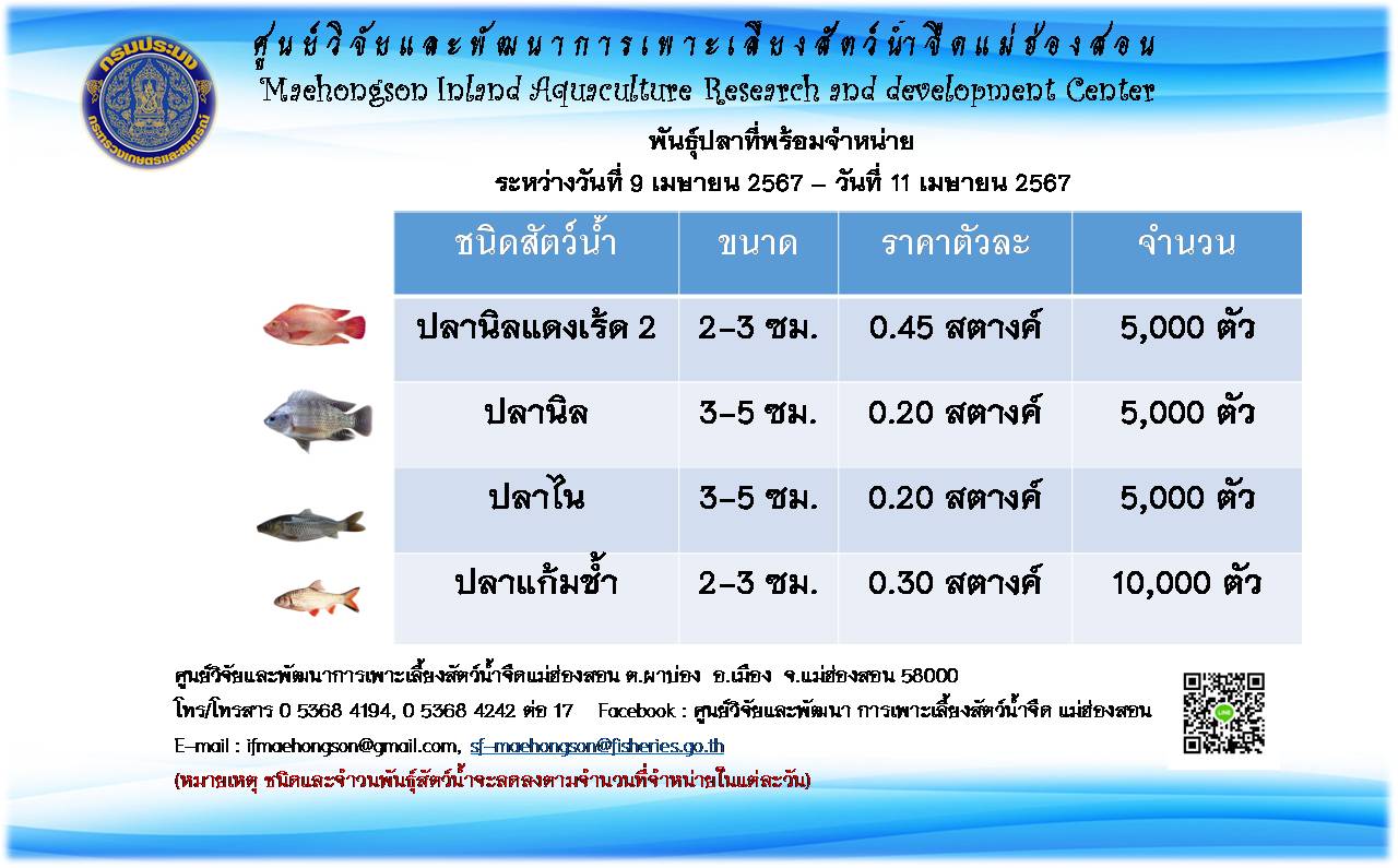 พันธุ์สัตว์น้ำที่พร้อมจำหน่ายระหว่างวันที่ 9  เมษายน 2567 - วันที่ 11 เมษายน  2567