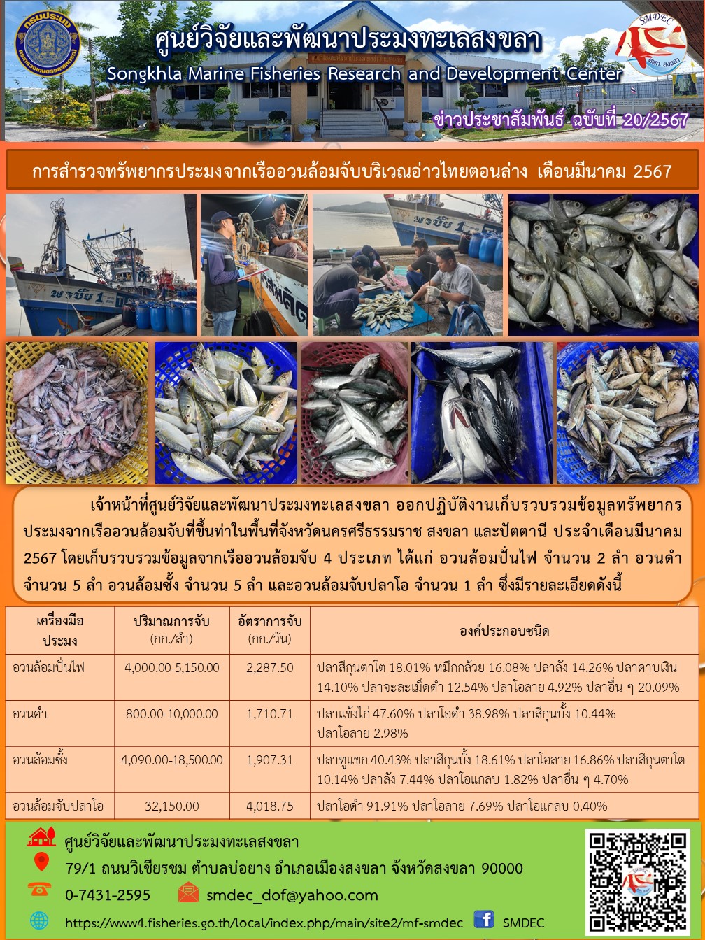 เจ้าหน้าที่ศูนย์วิจัยและพัฒนาประมงทะเลสงขลา ออกปฏิบัติงานเก็บรวบรวมข้อมูลทรัพยากรประมงจากเรืออวนล้อมจับที่ขึ้นท่าในพื้นที่จังหวัดนครศรีธรรมราช สงขลา และปัตตานี ประจำเดือนมีนาคม 2567 โดยเก็บรวบรวมข้อมูลจากเรืออวนล้อมจับ 4 ประเภท ได้แก่ อวนล้อมปั่นไฟ จำนวน 2 ลำ อวนดำ จำนวน 5 ลำ ฯลฯ..คลิก