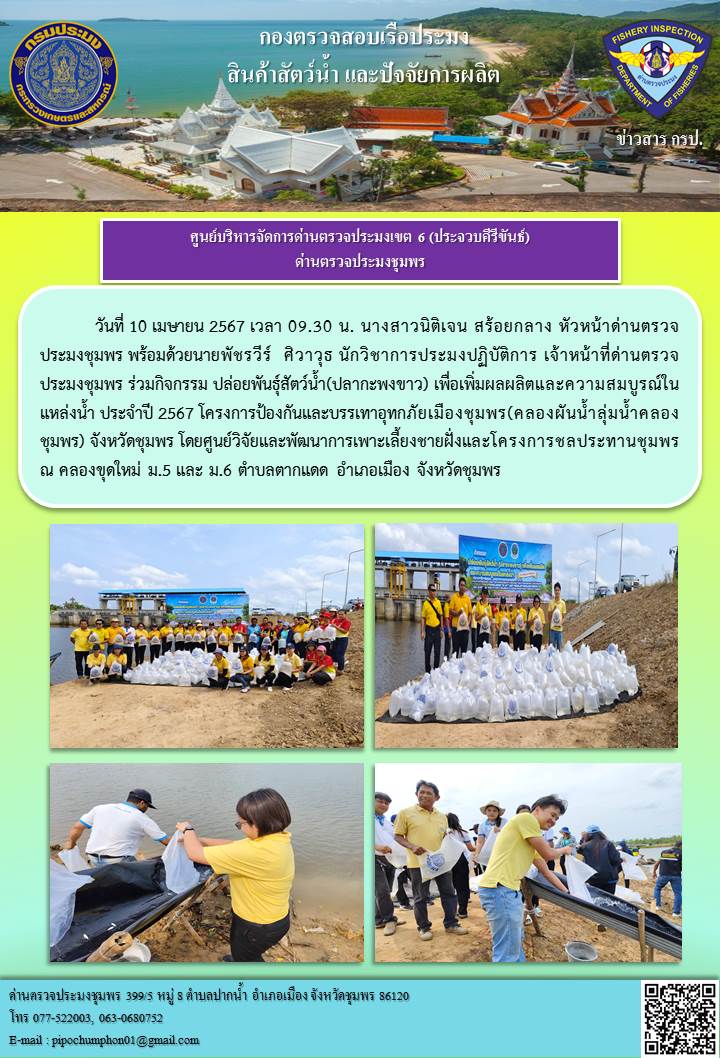 ด่านตรวจประมงชุมพร เข้าร่วมกิจกรรม ปล่อยพันธุ์สัตว์น้ำ(ปลากะพงขาว) เพื่อเพิ่มผลผลิตและความสมบูรณ์ในแหล่งน้ำ ประจำปี 2567