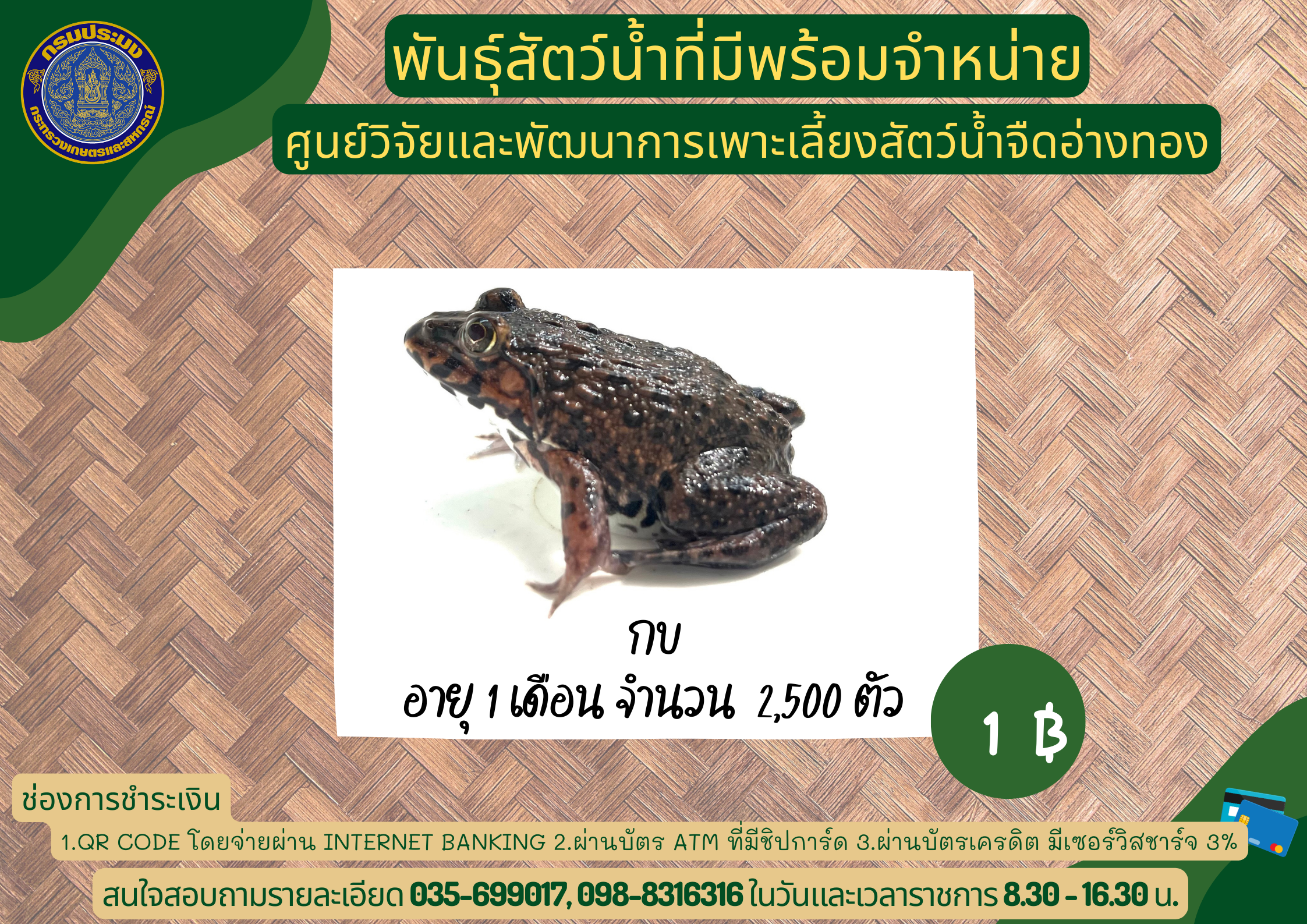 พันธุ์สัตว์น้ำที่มีพร้อมจำหน่าย