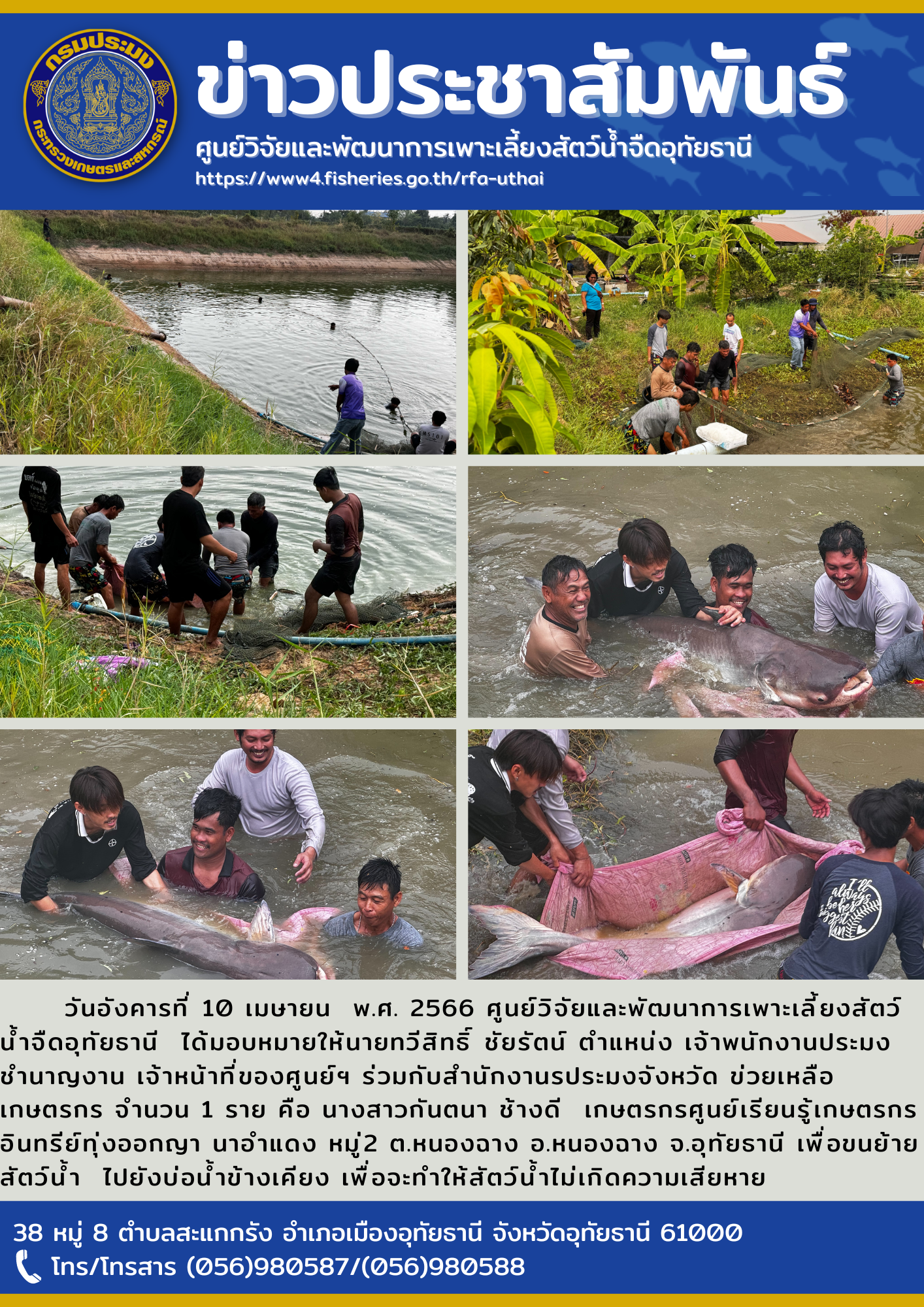 วันอังคารที่ 10 เมษายน  พ.ศ. 2566 ศูนย์วิจัยและพัฒนาการเพาะเลี้ยงสัตว์น้ำจืดอุทัยธานี  ได้มอบหมายให้นายทวีสิทธิ์ ชัยรัตน์ ตำแหน่ง เจ้าพนักงานประมงชำนาญงาน เจ้าหน้าที่ของศูนย์ฯ ร่วมกับสำนักงานรประมงจังหวัด ข่วยเหลือเกษตรกร จำนวน 1 ราย คือ นางสาวกันตนา ช้างดี  เกษตรกรศูนย์เรียนรู้เกษตรกรอินทรีย์ทุ่งออกญา นาอำแดง หมู่2 ต.หนองฉาง อ.หนองฉาง จ.อุทัยธานี เพื่อขนย้ายสัตว์น้ำ  ไปยังบ่อน้ำข้างเคียง เพื่อจะทำให้สัตว์น้ำไม่เกิดความเสียหาย