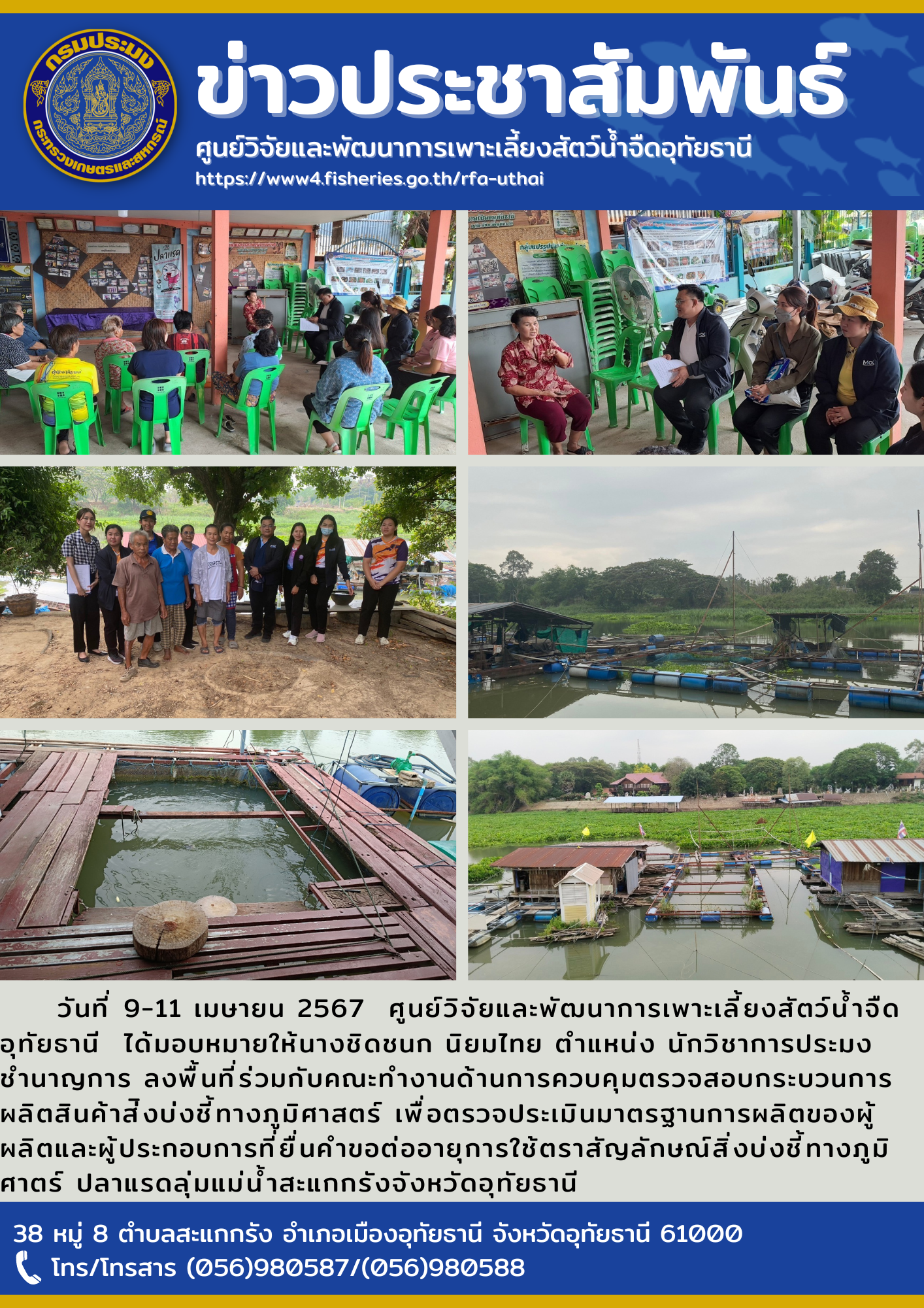 วันที่ 9-11 เมษายน 2567  ศูนย์วิจัยและพัฒนาการเพาะเลี้ยงสัตว์น้ำจืดอุทัยธานี  ได้มอบหมายให้นางชิดชนก นิยมไทย ตำแหน่ง นักวิชาการประมงชำนาญการ ลงพื้นที่ร่วมกับคณะทำงานด้านการควบคุมตรวจสอบกระบวนการผลิตสินค้าส่ิงบ่งชี้ทางภูมิศาสตร์ เพื่อตรวจประเมินมาตรฐานการผลิตของผู้ผลิตและผู้ประกอบการที่ยื่นคำขอต่ออายุการใช้ตราสัญลักษณ์สิ่งบ่งชี้ทางภูมิศาตร์ ปลาแรดลุ่มแม่น้ำสะแกกรังจังหวัดอุทัยธานี