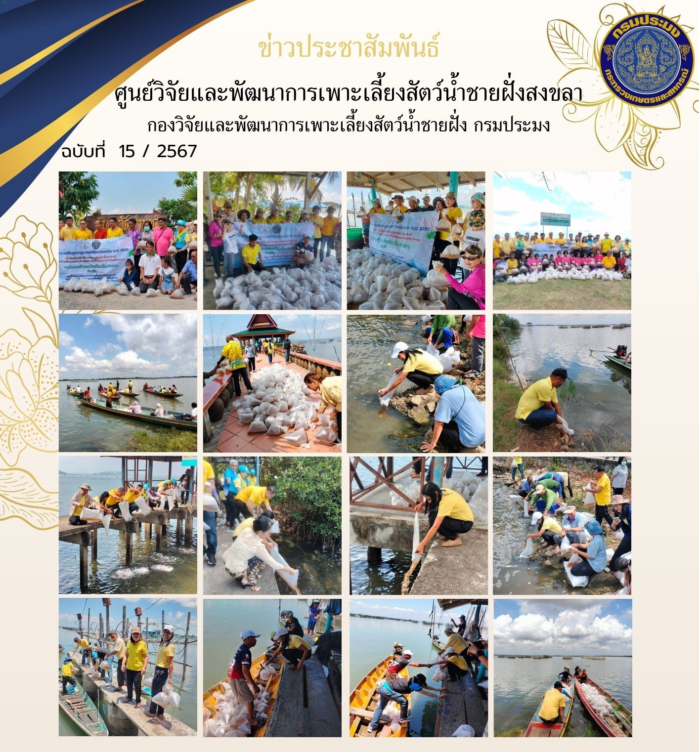  เมื่อวันที่ 8 เมษายน 2567 นางสาวปริศนา คลิ้งสุขคล้าย ผู้อำนวยการศูนย์วิจัยและพัฒนาการเพาะเลี้ยงสัตว์น้ำชายฝั่งสงขลา พร้อมด้วยนายชลิต สง่างาม นักวิชาการประมงชำนาญการ และนางอดิเทพ บุญเจริญ เจ้าพนักงานประมงชำนาญงาน และเจ้าหน้าที่ศูนย์ฯ ส่งมอบพันธุ์กุ้งแชบ๊วย ให้แก่องค์การบริหารส่วนจังหวัดสงขลา..คลิก