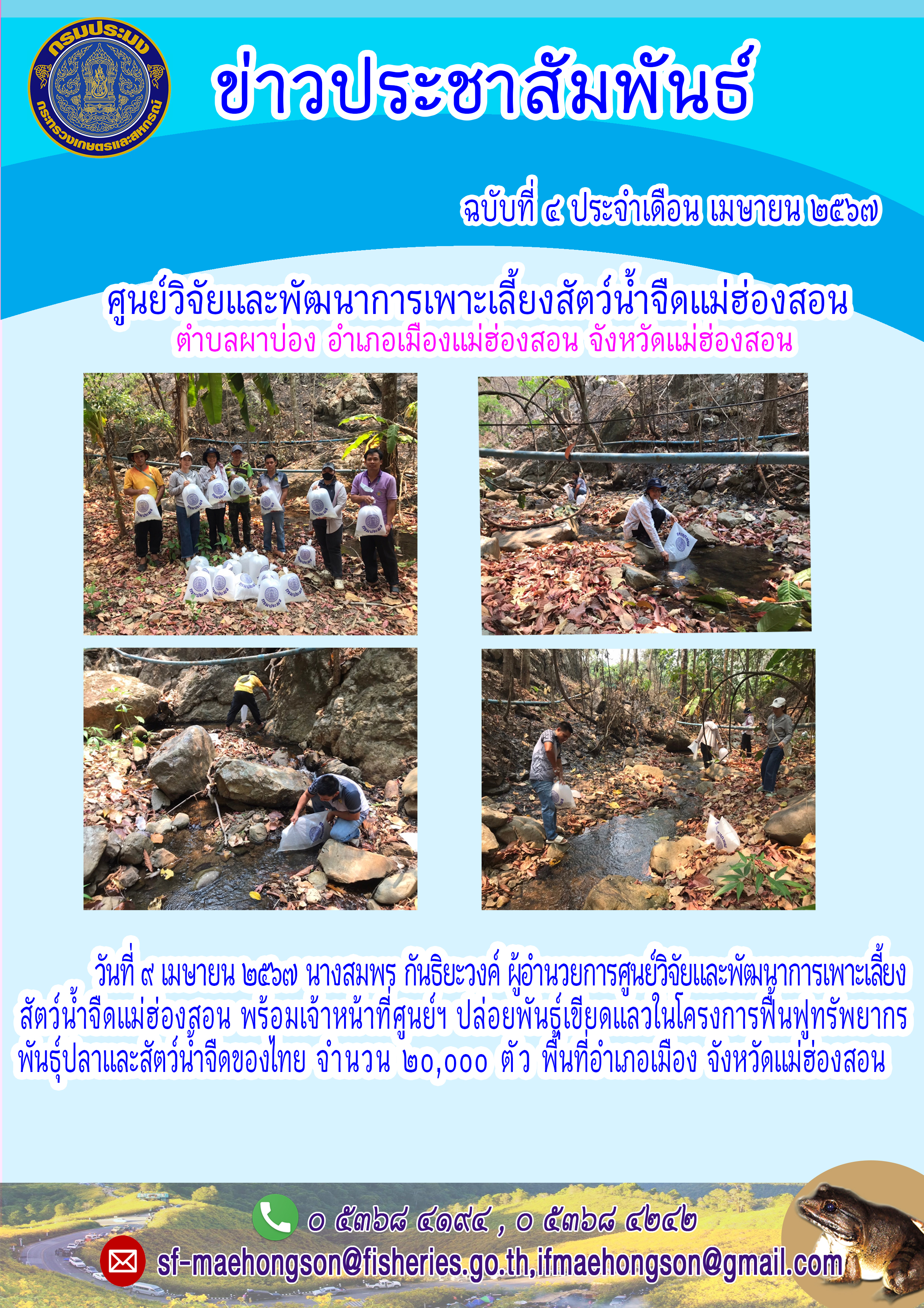 ปล่อยพันธุ์เขียดแลวในโครงการฟื้นฟูทรัพยากร  พันธุ์ปลาและสัตว์น้ำจืดของไทย